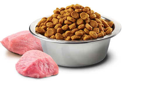 N&D DOG PUMPKIN LAMB & BLUEBERRY adult mini 2,5kg