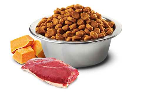 N&D DOG PUMPKIN DUCK ADULT ΜΙΝΙ 2KG