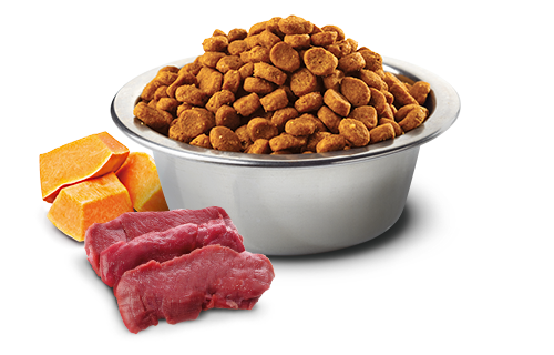 N&D DOG PUMPKIN VENISON ADULT MINI 2KG ΛΗΞΗ 3/8/25