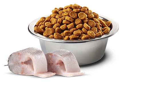 N&D DOG WHITE CANINE FORMULA SEA BASS, RICE FENNEL E SPIRULINA ADULT MINI 2 KG