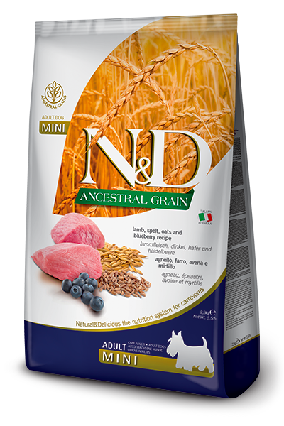 N&D DOG LAMB & BLUEBERRY adult mini 2,5kg