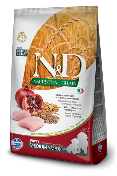 N&D DOG CHICKEN & POMEGRANATE puppy med/max 2,5kg ΛΗΞΗ 5/8/2025