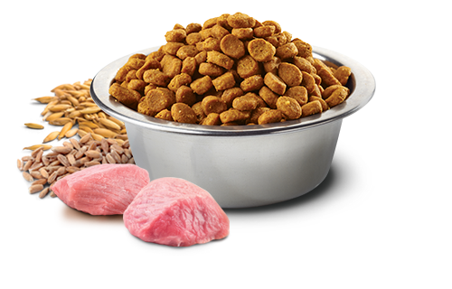 N&D DOG CHICKEN & POMEGRANATE adult med/max 12kg