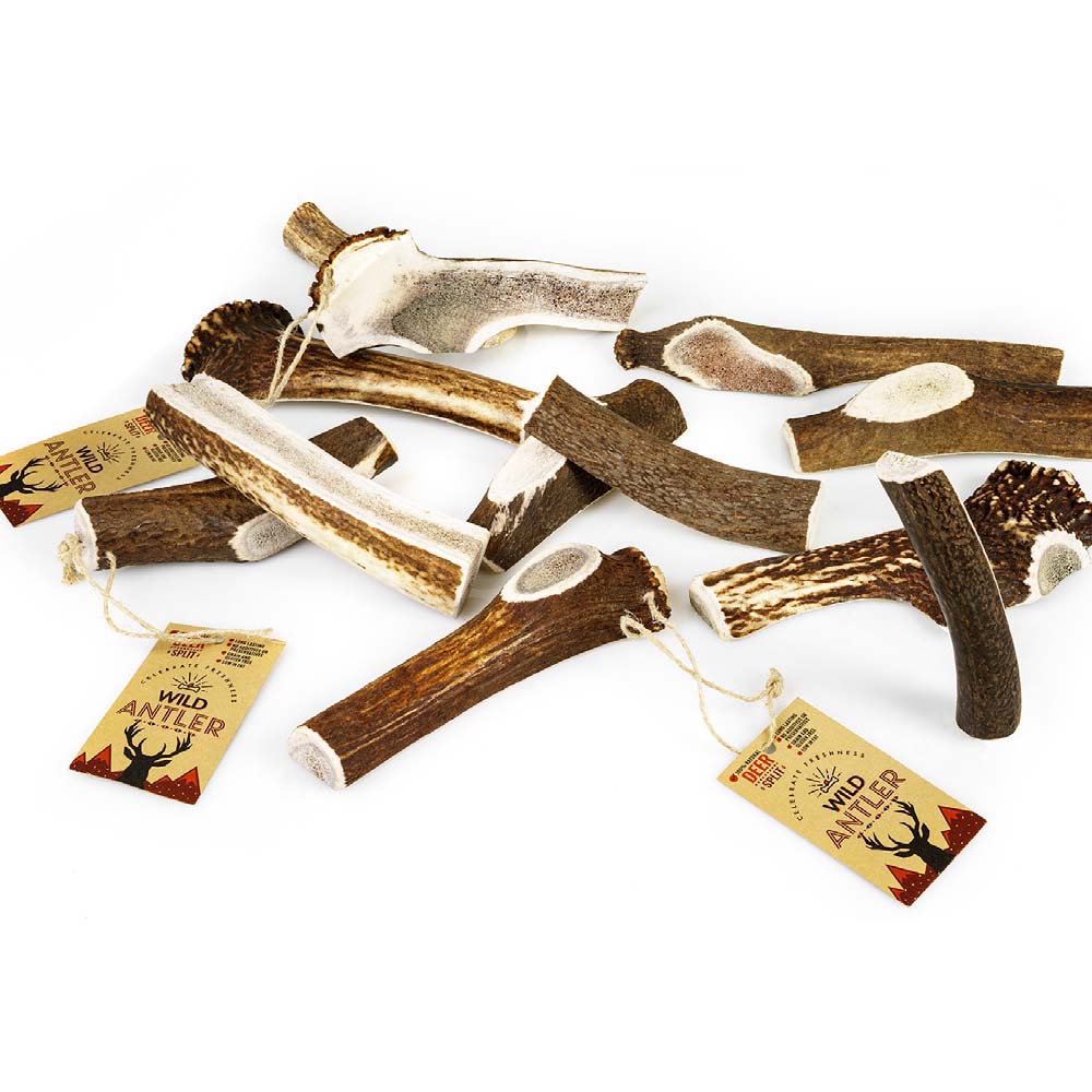 CELEBRATE ΚΕΡΑTO RED DEER SPLIT ANTLER