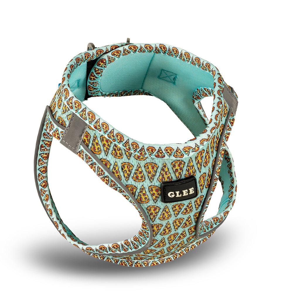 GLEE Σαμαράκι Pattern Pizza Aqua | L