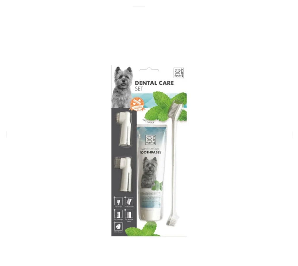 M-PETS DENTAL CARE Set – mint flavour
