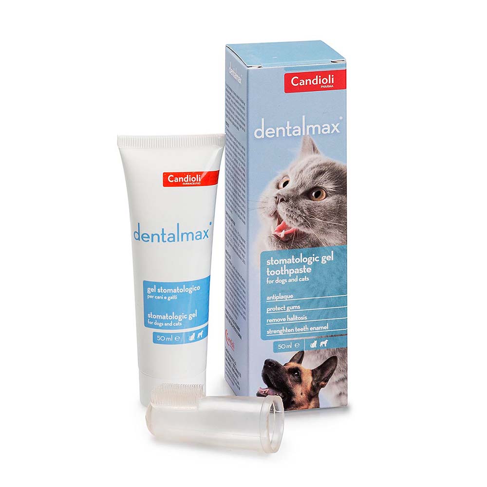 CANDIOLI DentalMax 50ml - Στοματικό gel