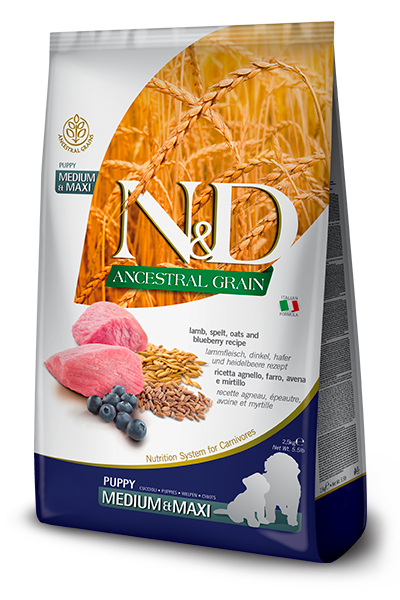 N&D DOG LAMB & BLUEBERRY puppy med/maxi 2,5kg