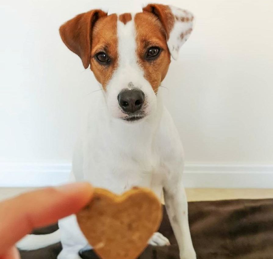 Cooka's Cookies ΜΠΙΣΚΟΤΑ Chicken Love ΜΕ ΚΟΤΟΠΟΥΛΟ & ΚΑΡΟΤΟ (100γρ)