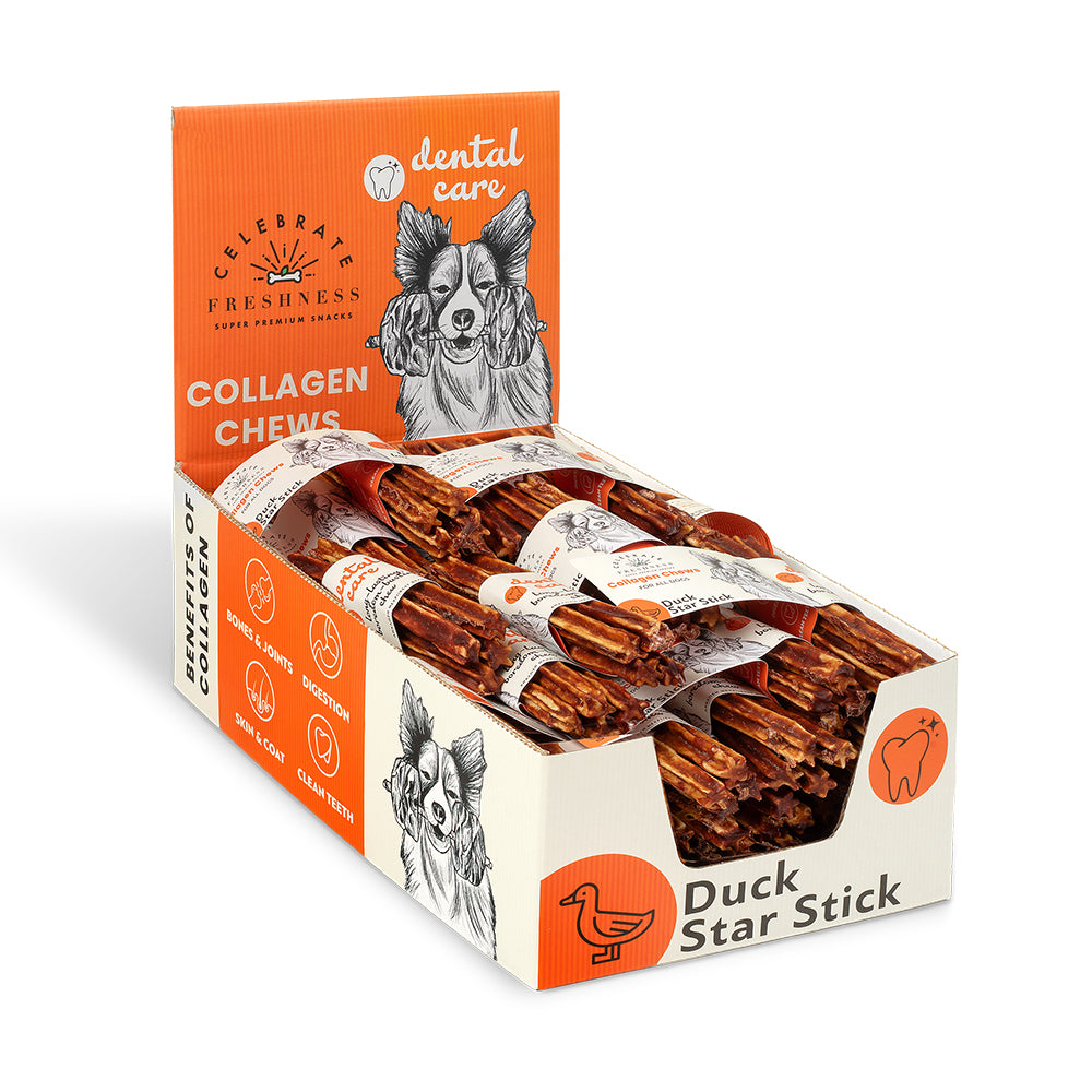 Dental Duck Star Stick 4x12.5cm