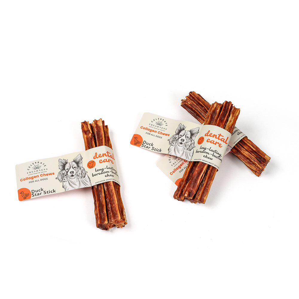 Dental Duck Star Stick 4x12.5cm