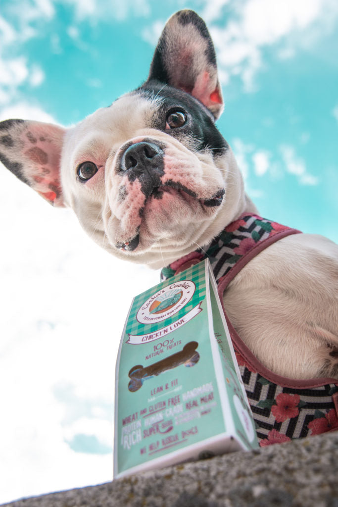 Cooka's Cookies ΜΠΙΣΚΟΤΑ Chicken Love ΜΕ ΚΟΤΟΠΟΥΛΟ & ΚΑΡΟΤΟ (100γρ)